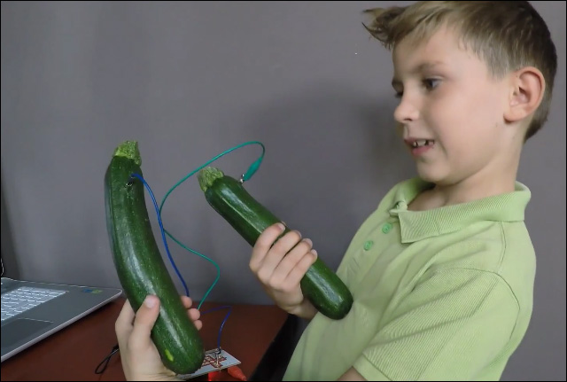 Les courgettes branchées sur la carte Makey Makey